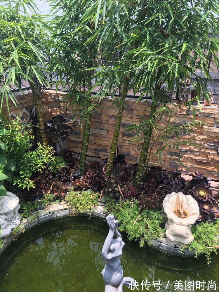 花草|历时一年，在31楼打造300㎡“屋顶花园”，如今美成了仙境