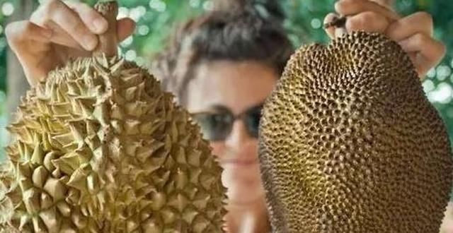 这些“双胞胎”水果长得像却贵贱分明,同果不同命,你分得清吗