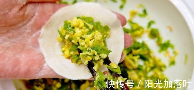 维c|入秋后,要多吃这菜,维C是冬瓜5倍,润肺防秋燥,包饺子吃特别香!