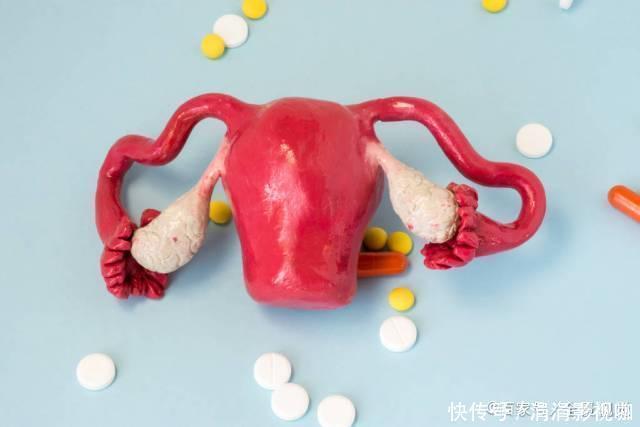 人被拿掉哪些器官却不会立马死有6个无用器官,医生一般不会说