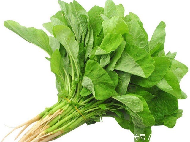 常吃6種菜比喝牛奶還補(bǔ)鈣，一斤才幾塊錢(qián)，中老年人不要錯(cuò)過(guò)哦