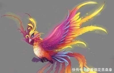 涨知识#古代“龙生九子,凤育九雏”,九雏分别指谁看完涨知识!