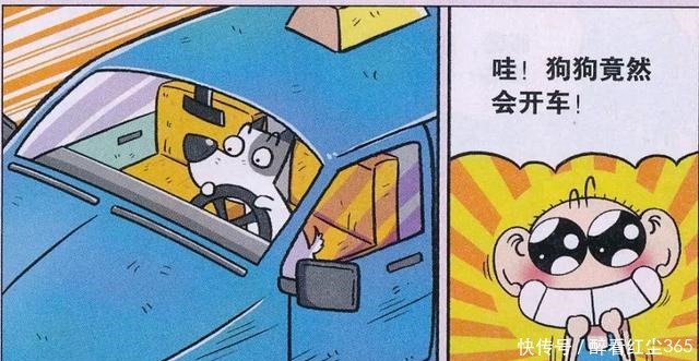 训练|爆笑校园呆头用心训练“宠物开车”,为何却怒骂电视是骗人的