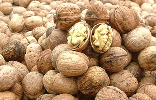 吃法|核桃被称“万岁子”“长寿果”,教你3种最营养吃法,治病保长寿