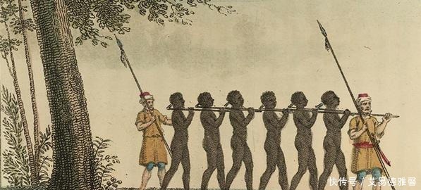 揭开|一本《棉花帝国》,为何揭开欧美资本主义,“新教伦理”的遮羞布