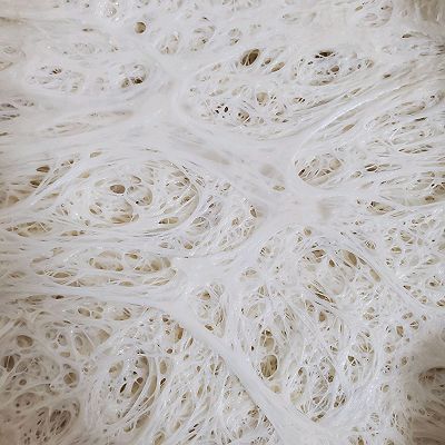 中种咸味白吐司