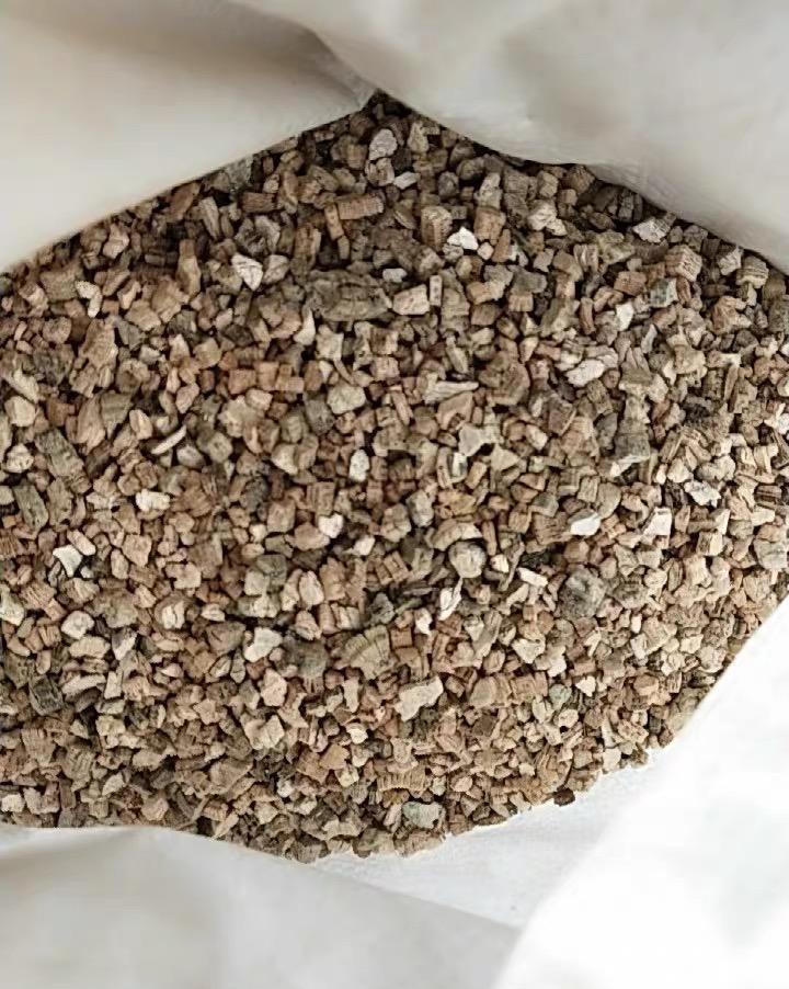 扦插月季活不了,土有问题,用蛭石扦插,发根率达到80%