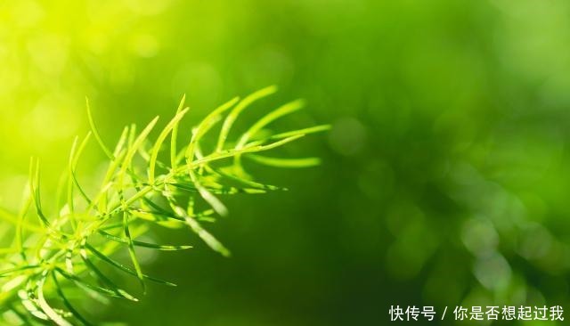 懂得宽容别|做人要厚道(经典)