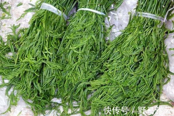 妇科炎症|女性不想妇科炎症，此菜一周食3次，活血调经，子宫也更干净！