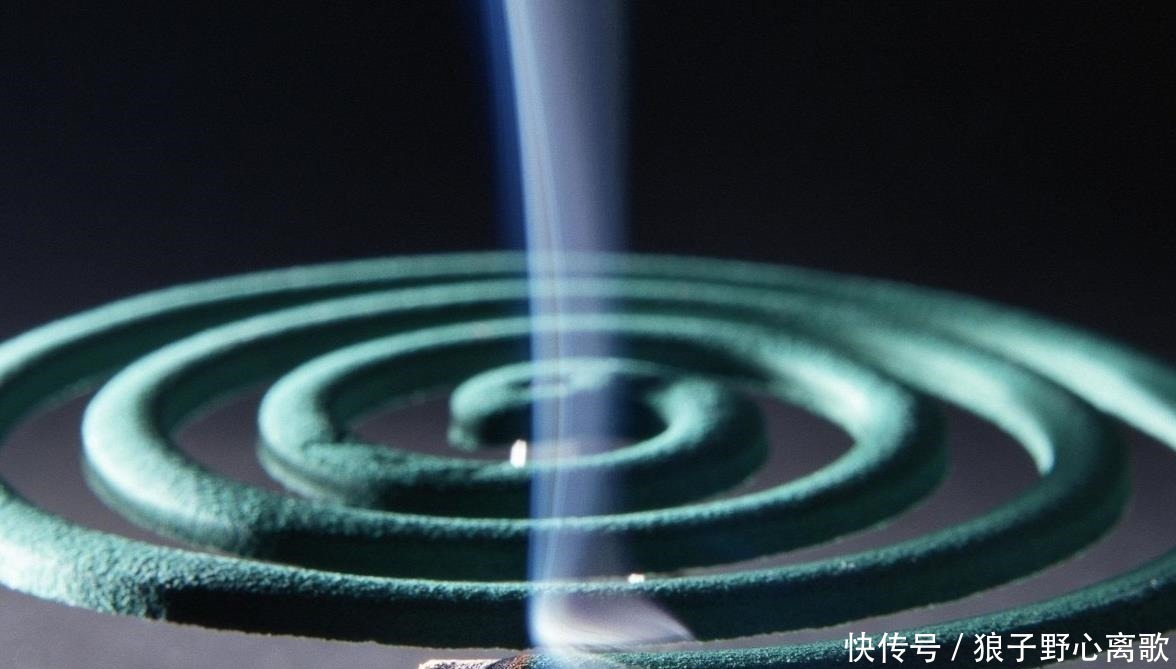 蚊子整晚嗡嗡叫,只需几个小方法,一觉安睡到天亮