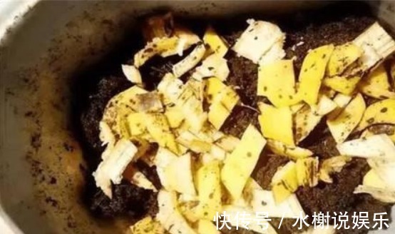 养花|家里的“垃圾”不要扔，教你自制3种肥料，不花钱也能养爆盆
