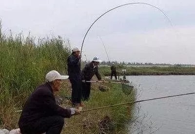 障碍物|冬钓，老手只找“三个”钓位，个个藏鱼，别再说冬天没鱼