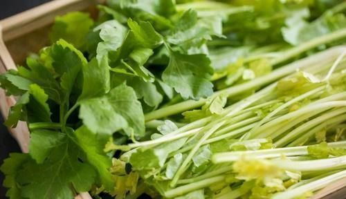芹菜|女性害怕老太快,可以多吃3种食物,排毒养颜,有益健康!