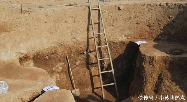 选择|老农家猪圈离奇丢猪,无奈选择报警,专家赶来后却乐开了花