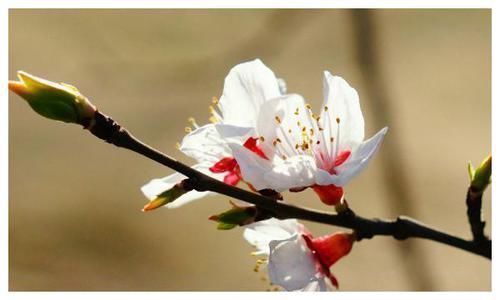 星座|4天后,思念成疾,情难自控,旧情复燃,纠纠缠缠期待复合的星座