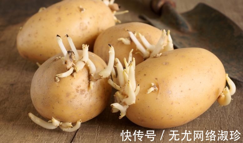 椰毒假单胞菌|89岁肝胆科主任:3种食物伤肝不浅,为了家人健康,少吃为妙