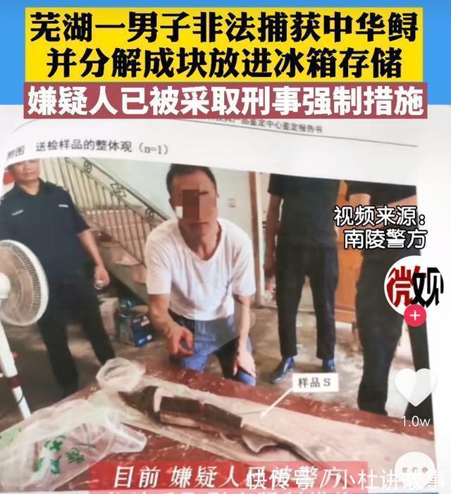 长江水域|大量钓具被销毁!在长江水域垂钓的“坑”,不要再跳了