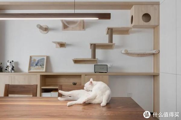 客厅|舍弃客厅,不买茶几!福建90后男主的家,因媲美图书馆而走红网络