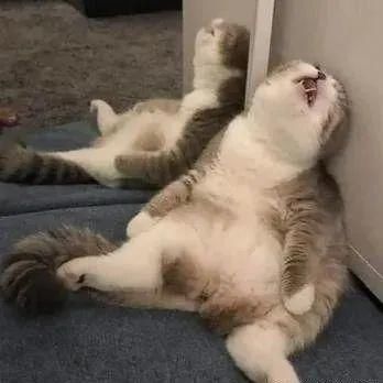 万亿睡眠市场，说明你根本不会睡觉