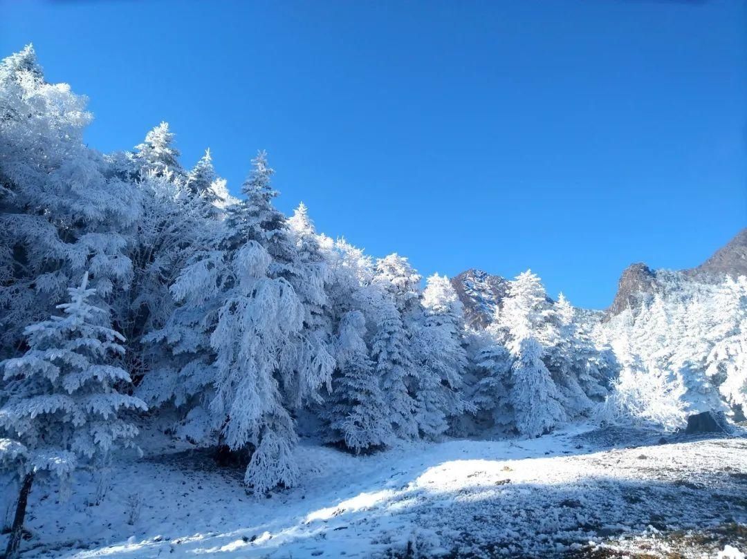 冬日雅安，一幅铺展天地间的冰雪画卷