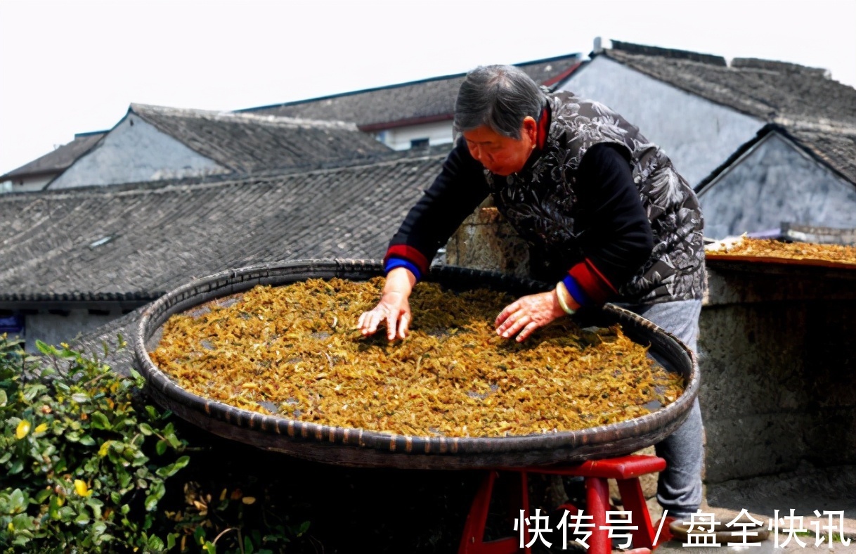 红薯干|买7种菜晒干菜,给新鲜菜都不换,1年不会坏,冬天焖肉特别香