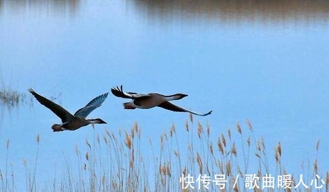 张长弓&两副对联都是千古名对,但是都有瑕疵,很少有人找到!