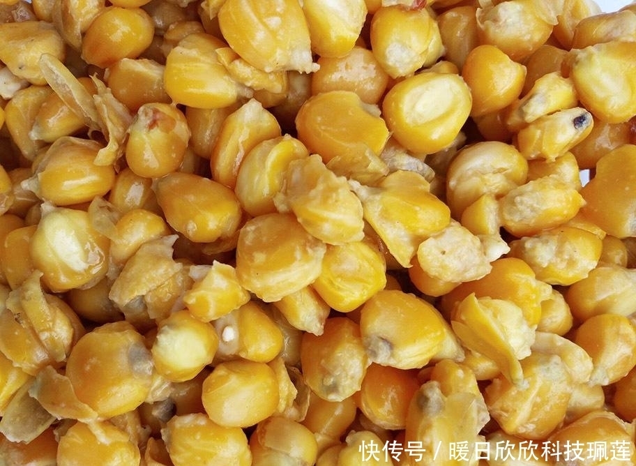 自制|夏天野钓强效自制窝料配方分享,适用广谱成本低,适合守大鱼