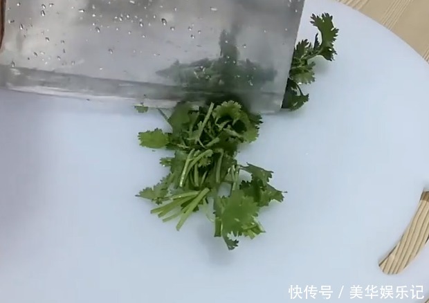 鲜香|红烧鱼好吃又诀窍,鲜香适口,外酥里嫩,端上桌就被大家吃完了