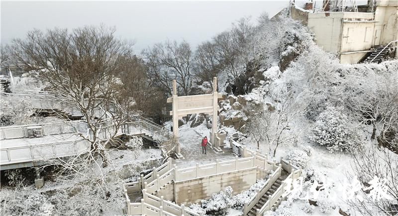 雪落|雪落紫金山，许你一个冰雪世界