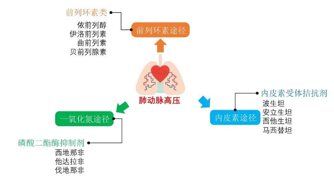 患者|【健哥说心脏】靶向药物联合治疗，有望成为治疗肺动脉高压的杀手锏