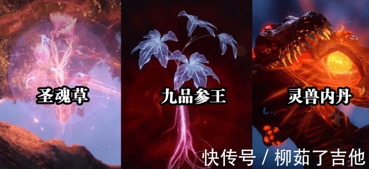 泰坦巨猿|斗罗大陆二明提出三个条件可救小舞,大明为何说还有事要先做