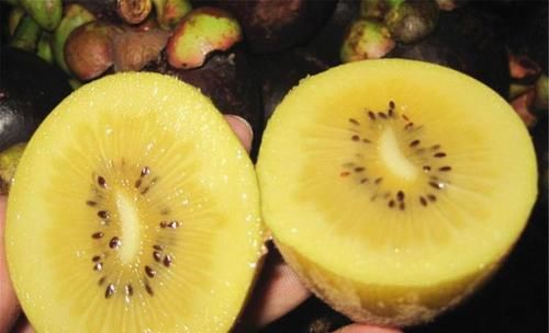 榴莲|女性适合吃的好食物,排毒养颜、改善体质,吃了肌肤更好