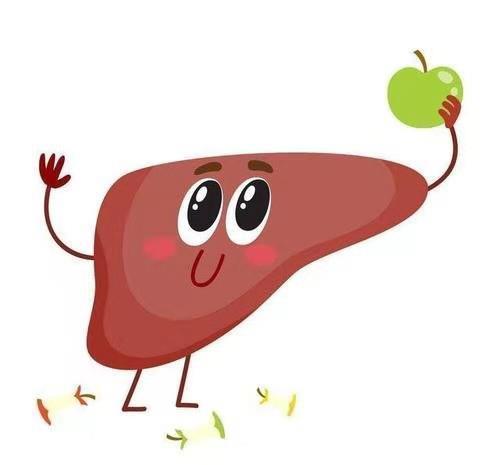 適宜的季節用適當的方式養生，春季首選養脾胃，養肝