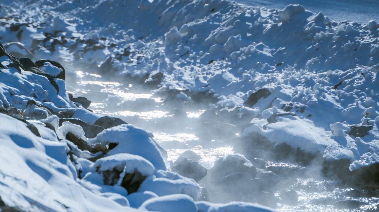 老年|在寂静雪原 遇见雪花真实的形状