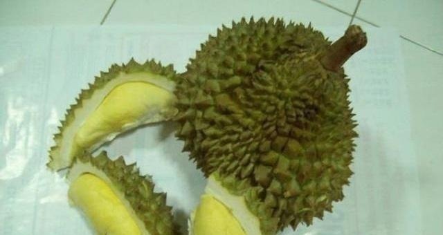 家庭作业|幼儿园要求带水果,宝妈塞给女儿一个最贵的榴莲,第二天孩子哭了