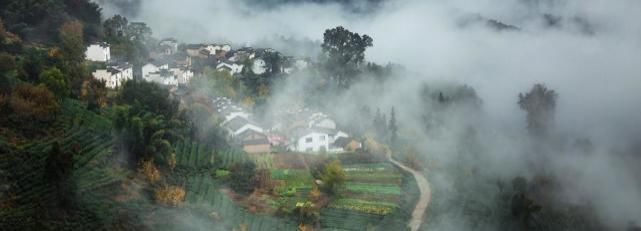 宅基地|农村不动产权证陆续下发，这些内容必须看清，否则吃亏的是自己
