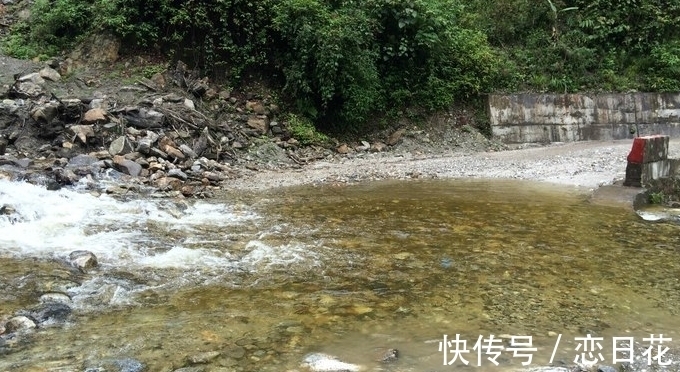 摄制组&小山村频发异象,为何野猪常年只攻击此地?奇特坑洞又从何而来?