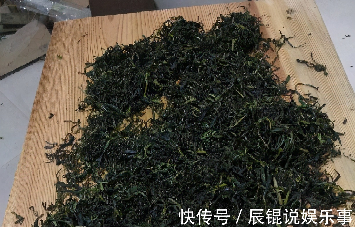 6种“垃圾”不要扔,拿来养花效果棒,省下一笔钱,废物又利用