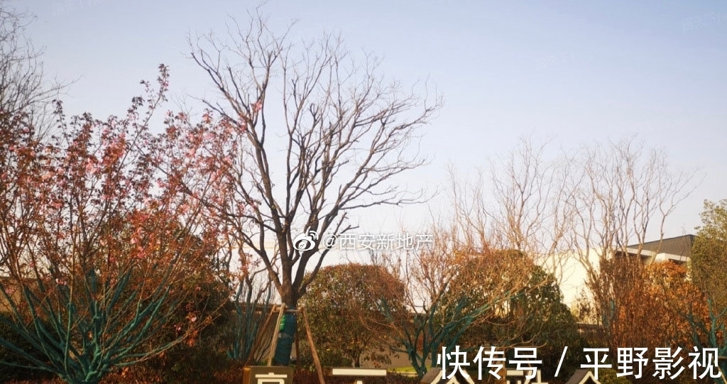 样板间|西安高新天谷雅舍拒绝开放样板间、全装修变半装修、拖延交证时间