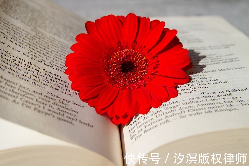 债权|《民法典》时代,委托创作合同中的债权能否转让?(下)