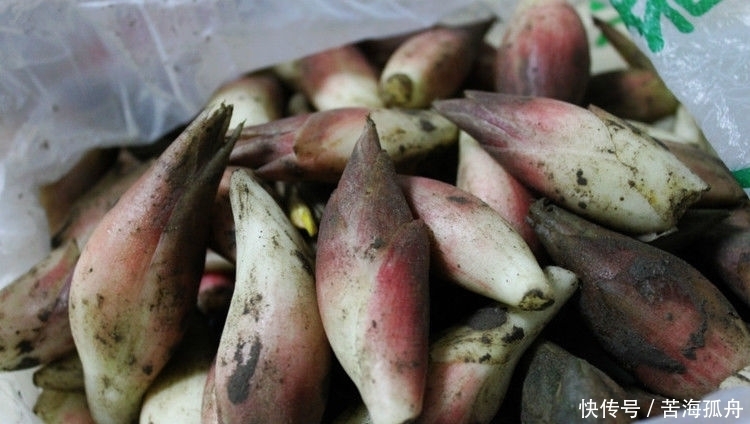 美味|农村大山特有的6种美味蔬菜,个个都很美味,你吃过几种