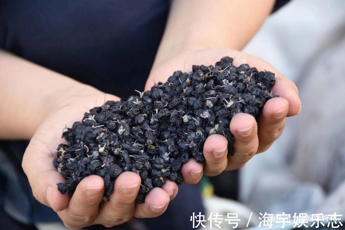 泡水|枸杞,你吃红的还是黑的泡水牢记“3不要”,营养加倍喝得健康