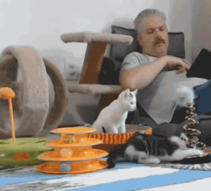 |搞笑GIF:这种场面太尴尬 吓得我赶紧关上了门