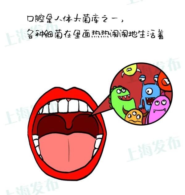 牙菌斑|刷牙出血？因为口腔太脏！来听牙菌斑的悄悄话~