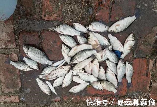 秋冬想钓大鲫鱼，没有给力的窝料怎么行，这个配方有奇效，别错过