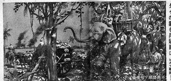 泰国|希特勒的七个盟友战斗力如何,泰国最渣,第一疯起来美军都怕!