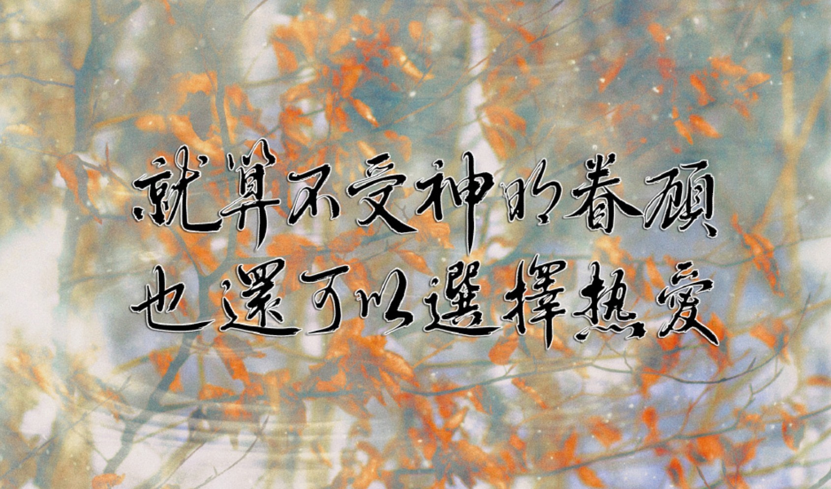 春天$河山两相安,岁月共从容,愿所有美好,不误归期