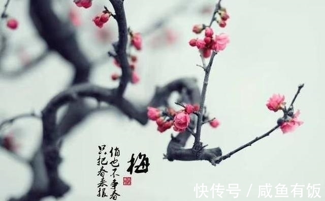 萧骚#七律·十年磨一剑（吾爱）