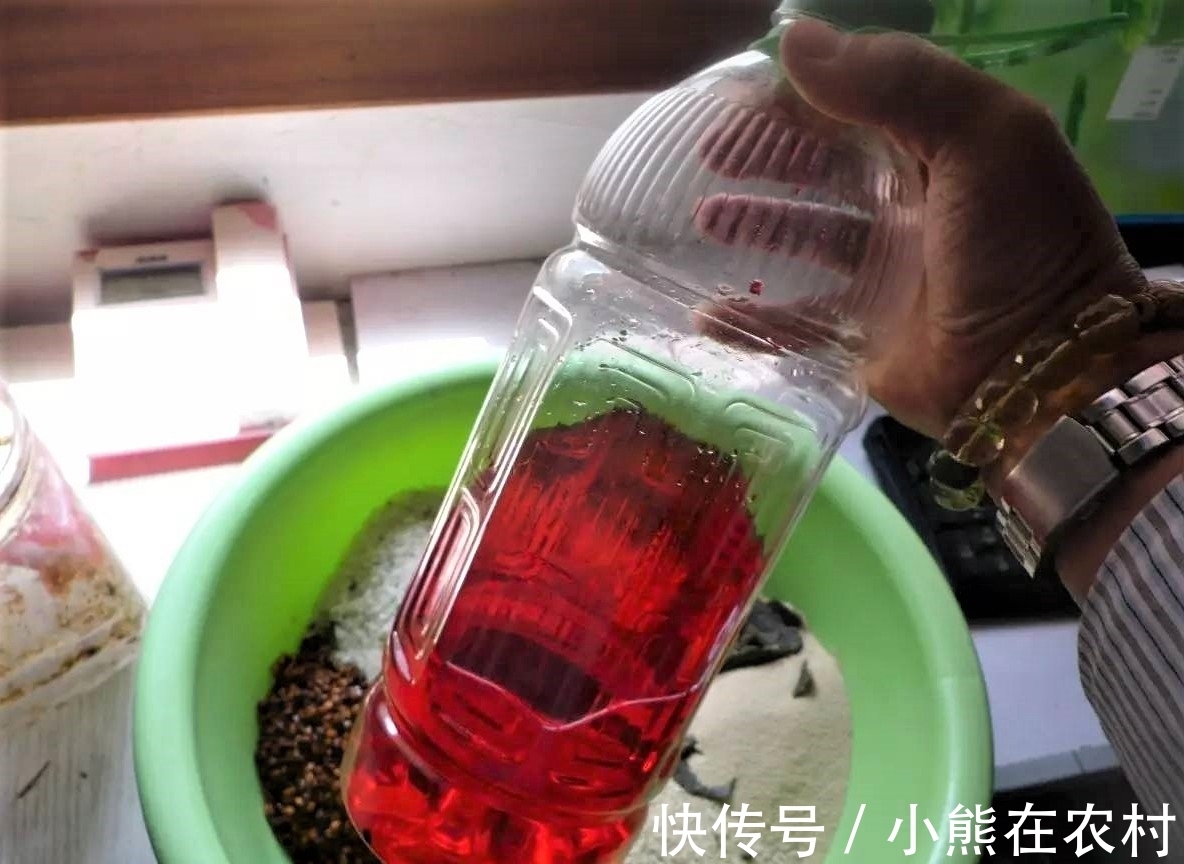 其实家里也有几种鱼饵,不比商品饵差,上鱼快