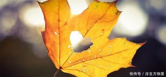 韩信|老实人,牢记这两条“人情世故”,也可以游刃有余